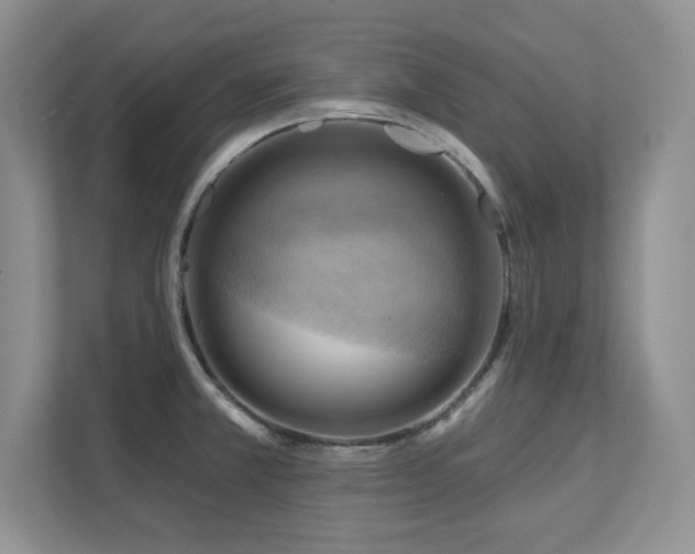 X0000111361381200907101222