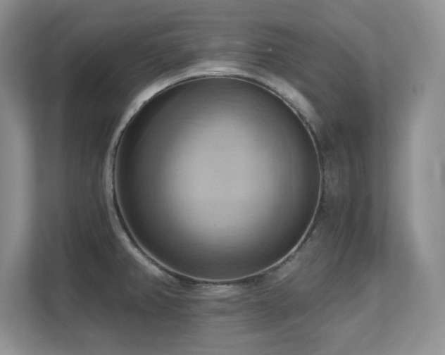 X0000111361382200907101222