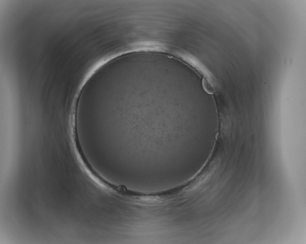 X0000111361383200907101222