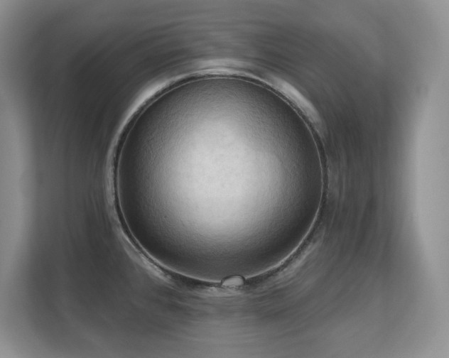 X0000111361384200907101222