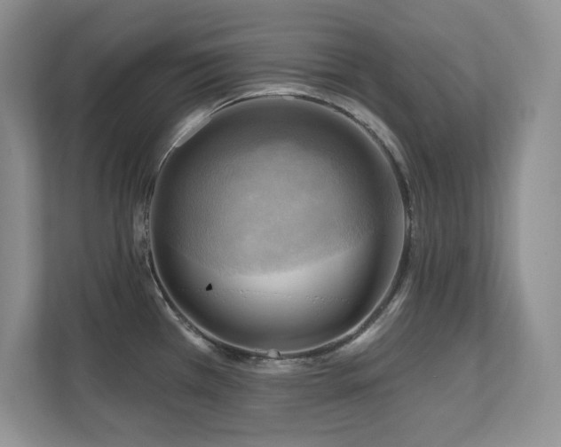 X0000111361385200907101222