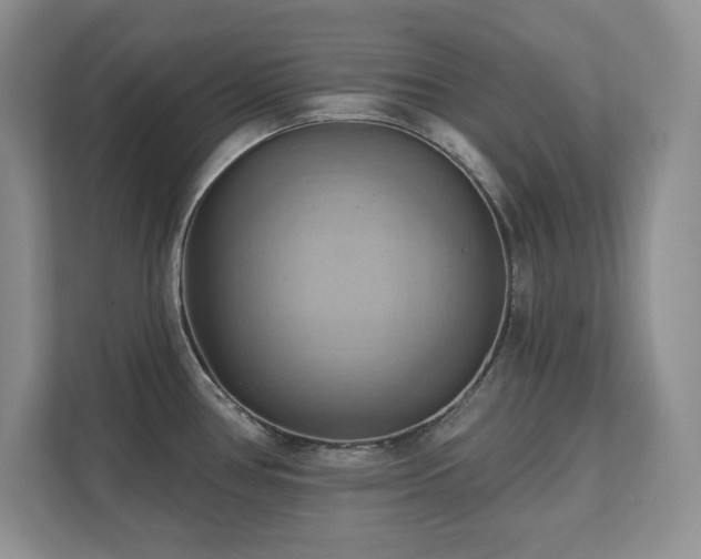 X0000111361386200907101222