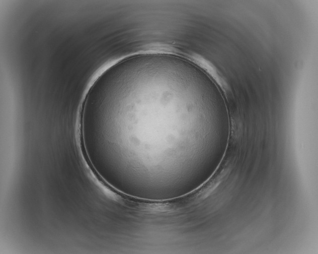X0000111361387200907101222
