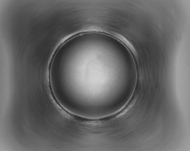 X0000111361388200907101222
