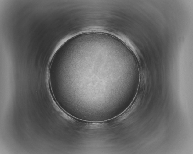 X0000111361390200907101221