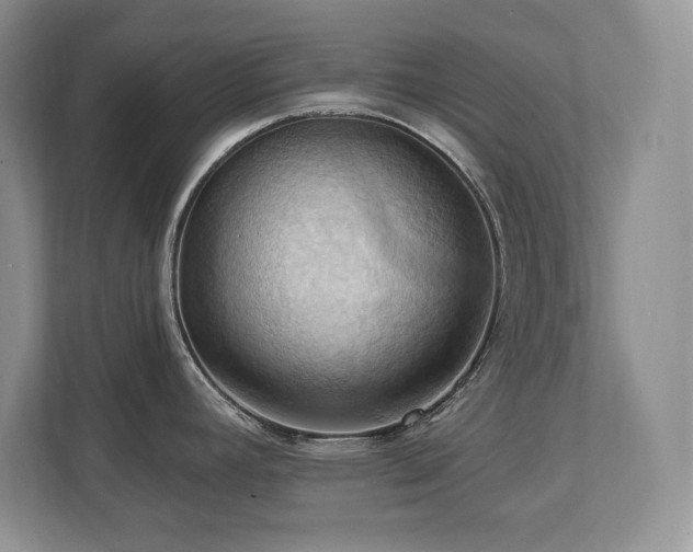 X0000111361392200907101221