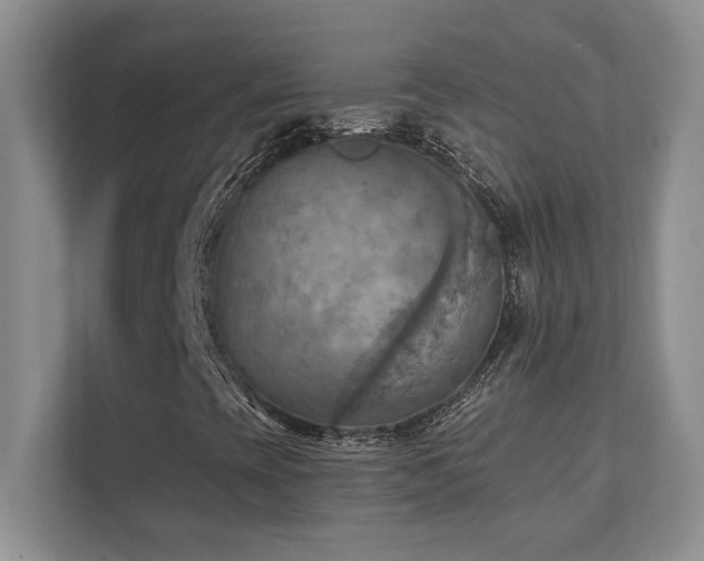X0000111361393200907101221
