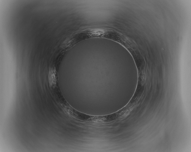 X0000111361394200907101221