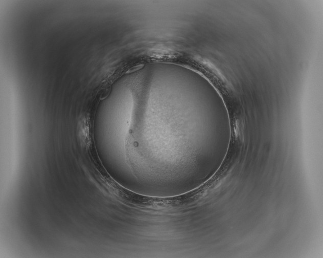 X0000111361396200907101221