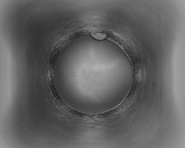 X0000111361397200907101221