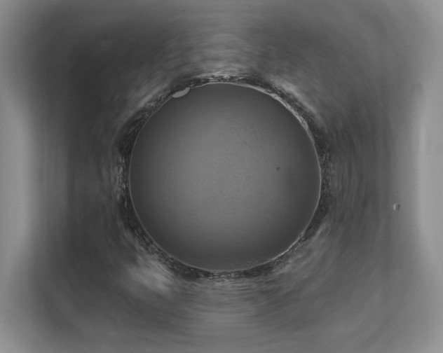 X0000111361399200907101221