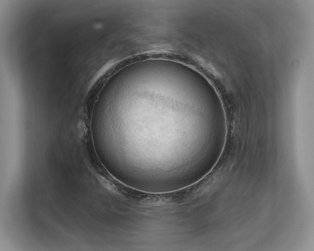 X0000111361400200907101221