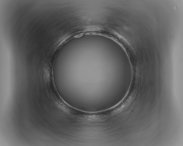 X0000111361401200907101221