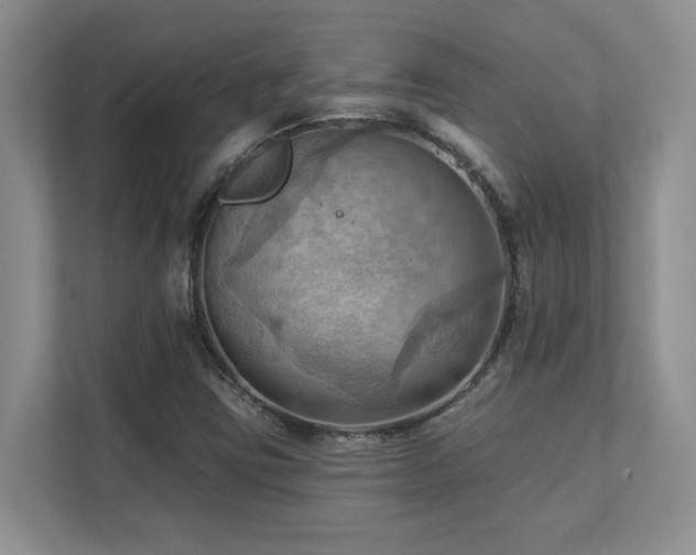 X0000111361403200907101221