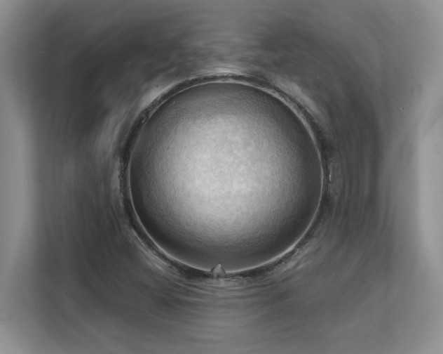 X0000111361404200907101221
