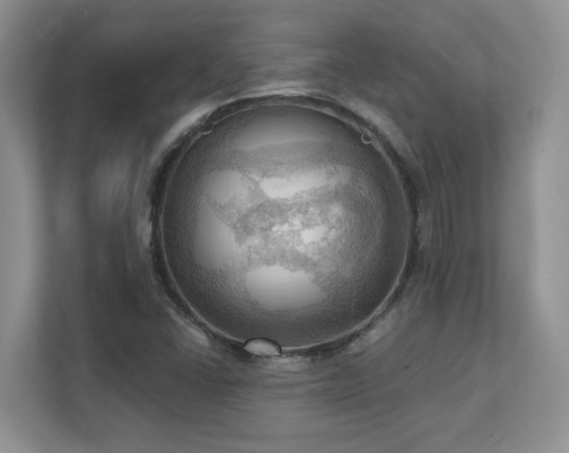 X0000111361406200907101221