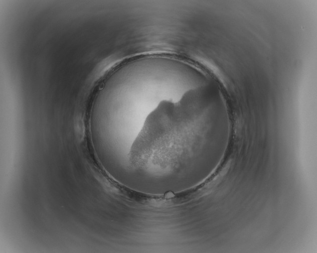 X0000111361407200907101221