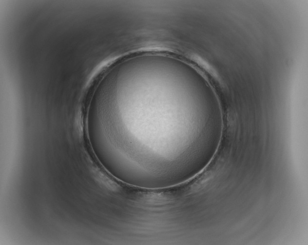X0000111361408200907101221
