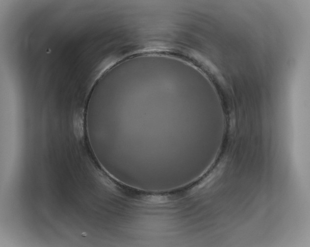 X0000111361409200907101221