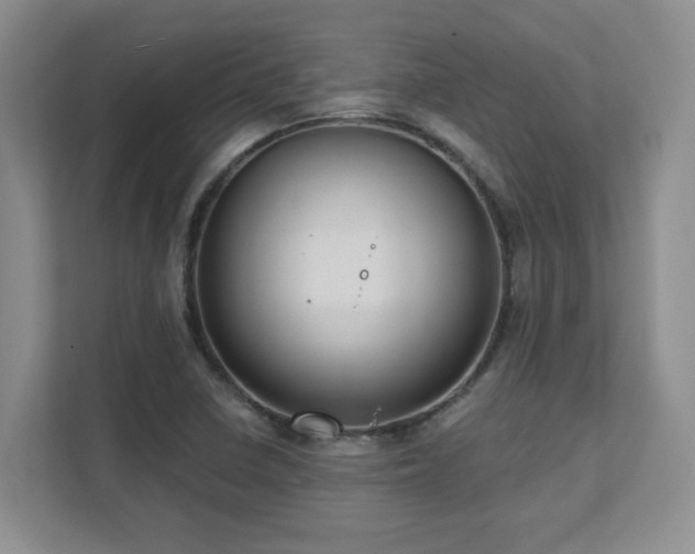 X0000111361410200907101221