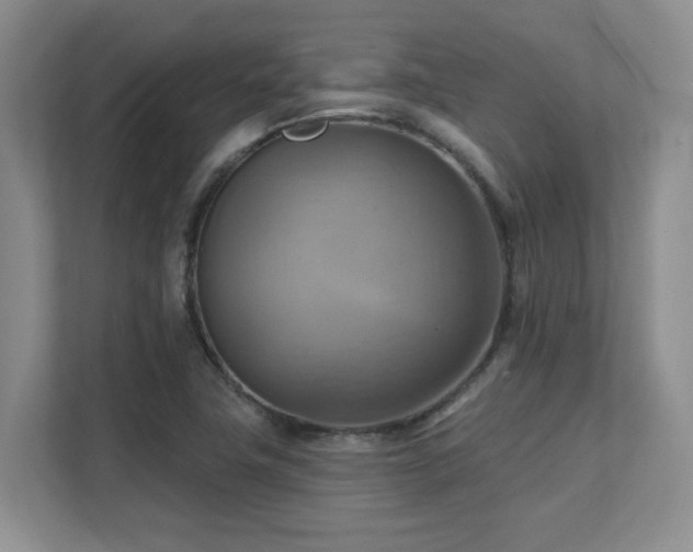 X0000111361411200907101221