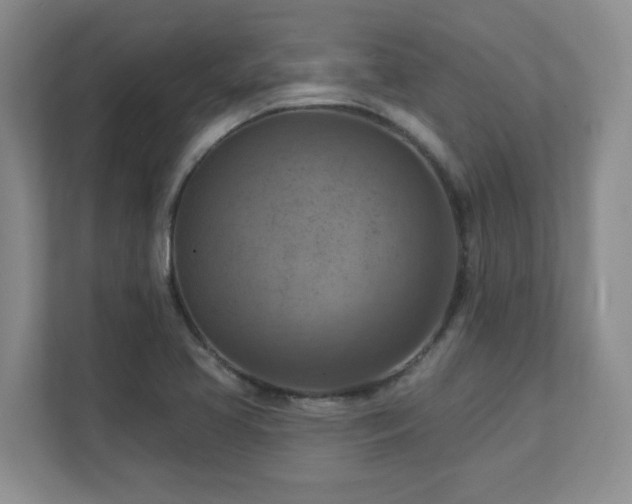 X0000111361413200907101221