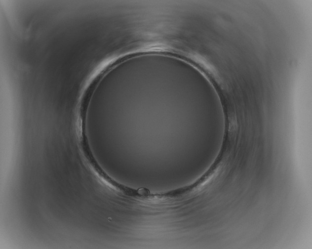 X0000111361414200907101221