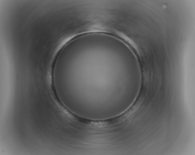 X0000111361415200907101221