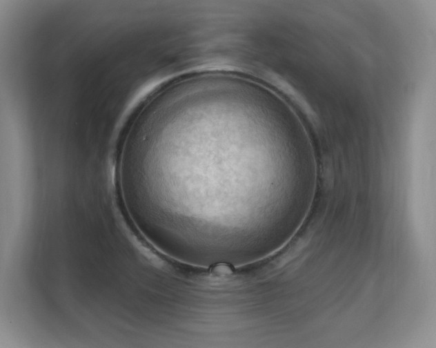 X0000111361416200907101221