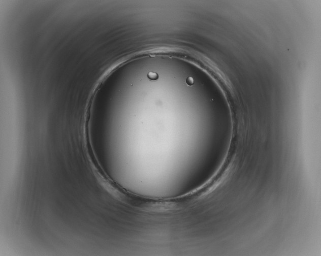 X0000111361417200907101221