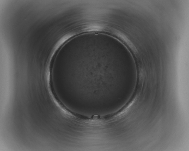 X0000111361418200907101221