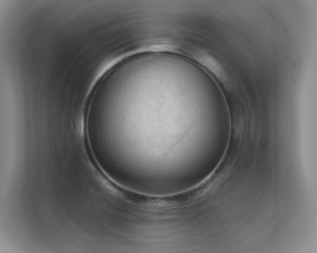 X0000111361420200907101221