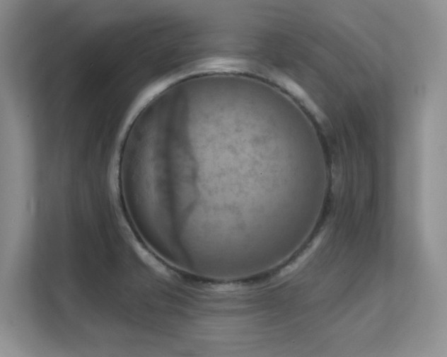X0000111361421200907101221