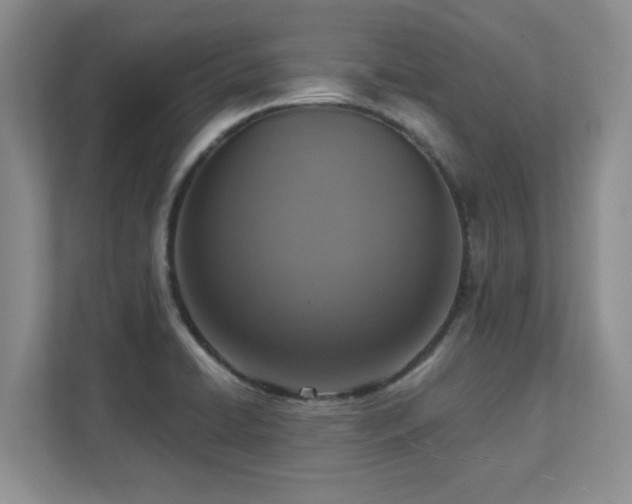 X0000111361422200907101221