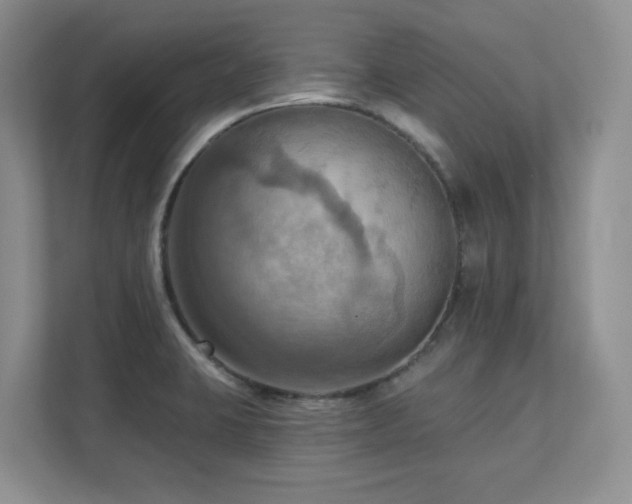 X0000111361423200907101221
