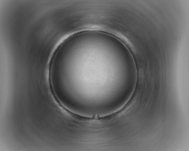 X0000111361424200907101221