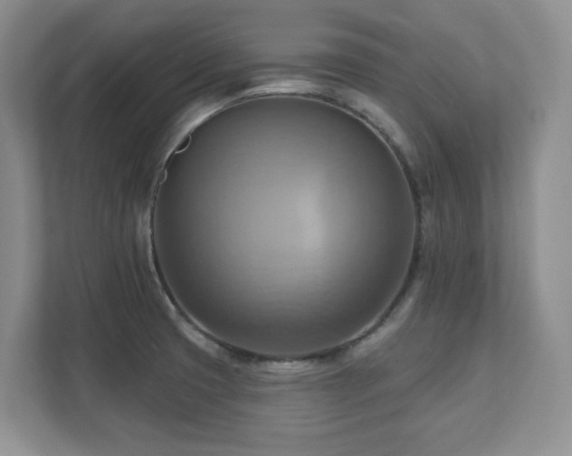 X0000111361425200907101221