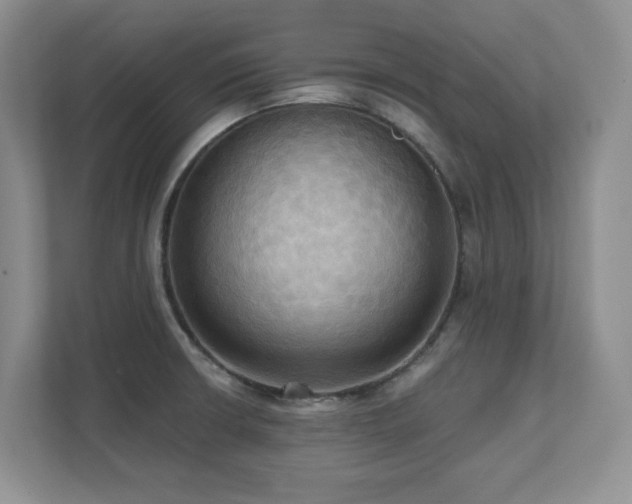 X0000111361426200907101221