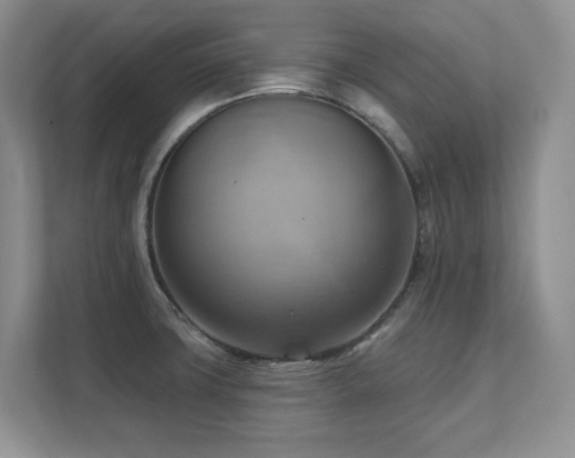 X0000111361427200907101221