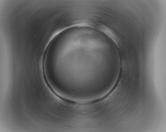 X0000111361428200907101221