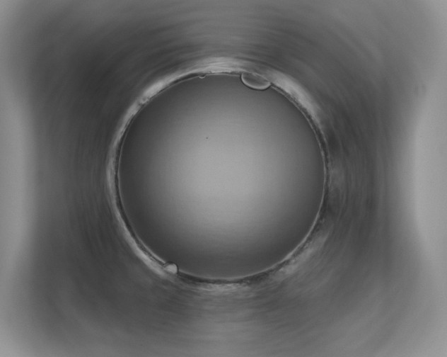 X0000111361429200907101221