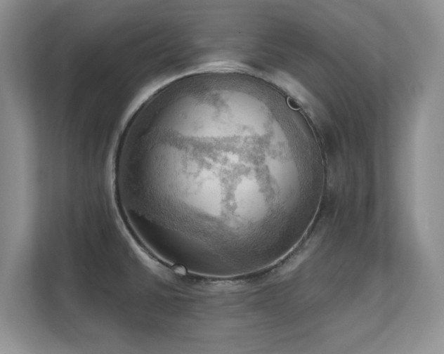 X0000111361430200907101221