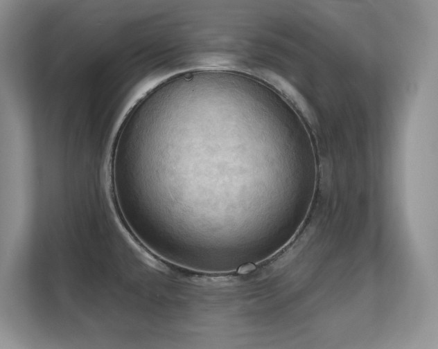 X0000111361432200907101221