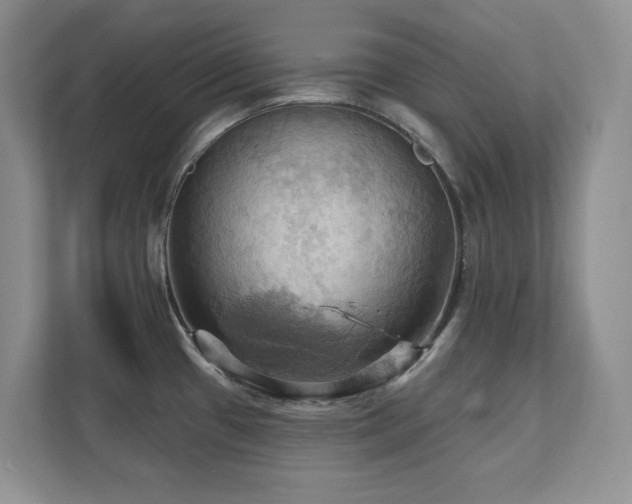 X0000111361433200907101221