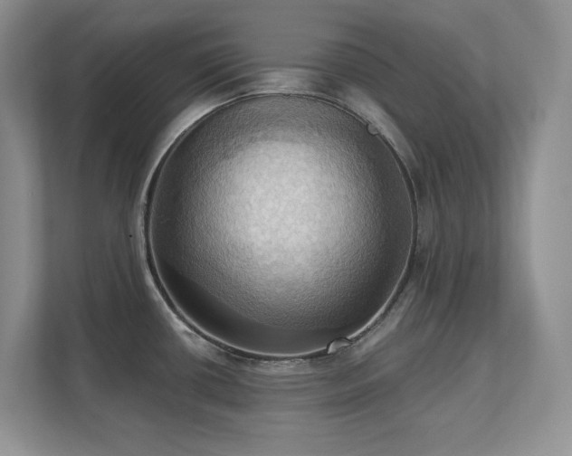 X0000111361434200907101221