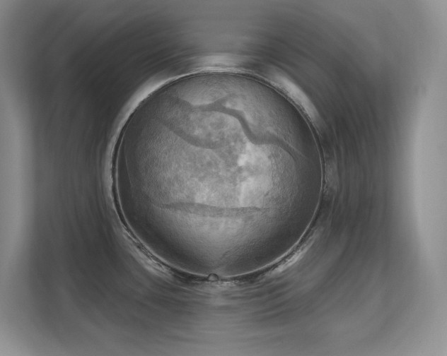 X0000111361435200907101221