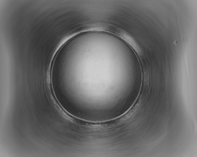 X0000111361436200907101221