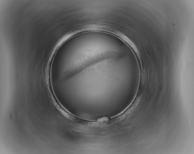 X0000111361437200907101221