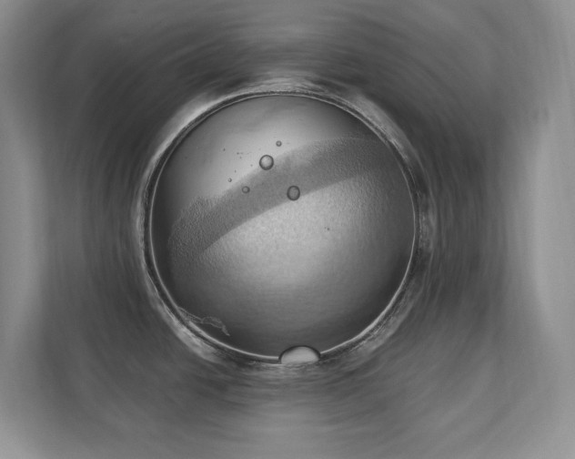 X0000111361438200907101221
