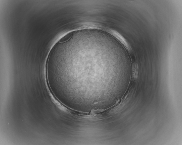 X0000111361439200907101221